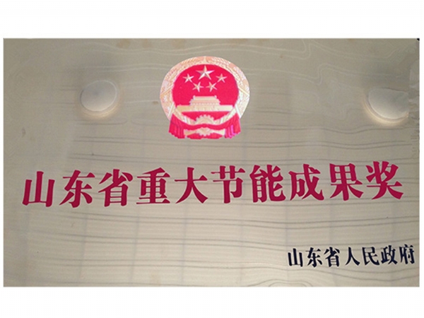 山东省重大节能成果奖
